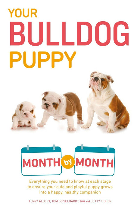 Your Puppy Month by Month