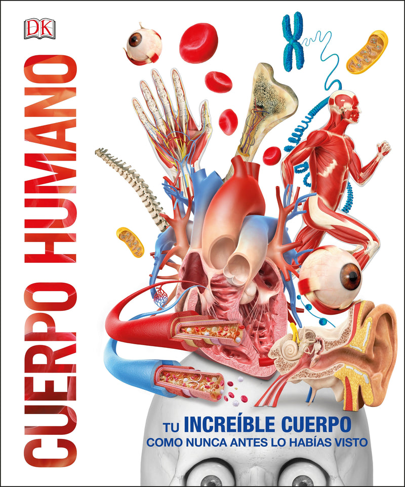 Human Body!