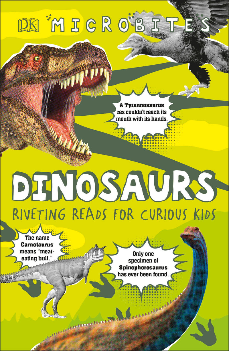DK Bitesize Readers