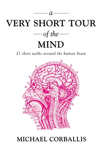 A Very Short Tour of the Mind