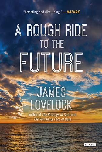 A Rough Ride to the Future