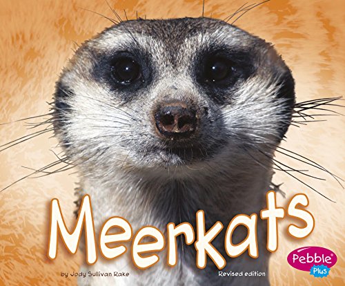 MEERKAT - PB