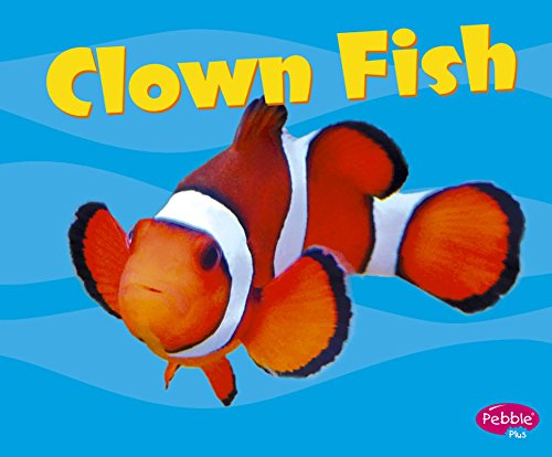 CLOWN FISH - PB