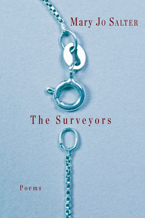 The Surveyors