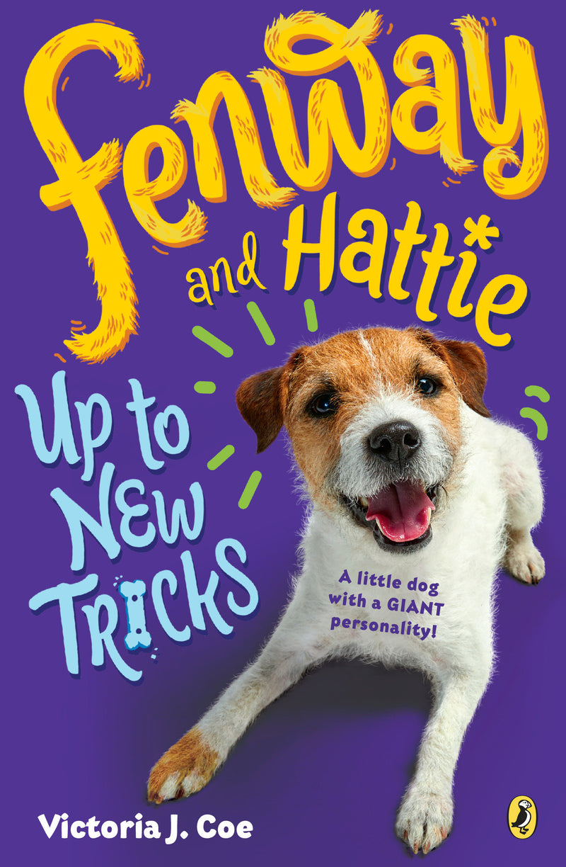 Fenway and Hattie Up to New Tricks