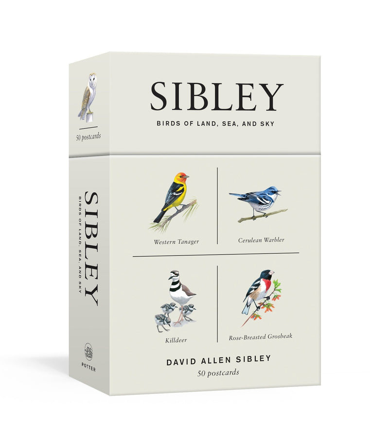 Sibley Birds