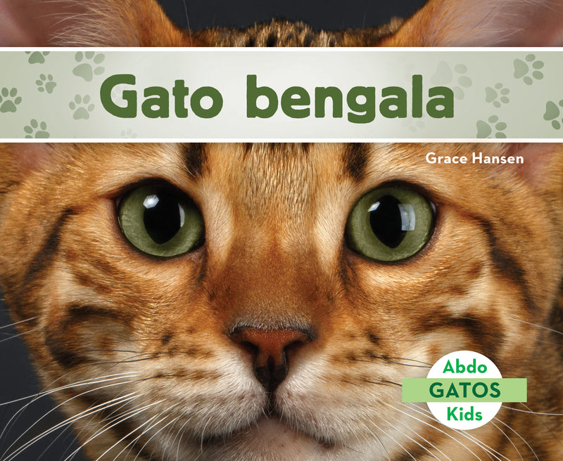Gato bengala (Bengal Cats)