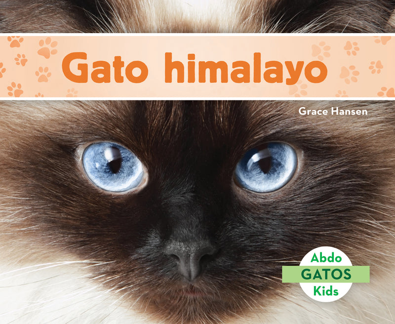 Gato himalayo (Himalayan Cats)
