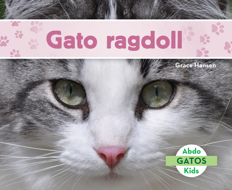 Gato ragdoll (Ragdoll Cats)
