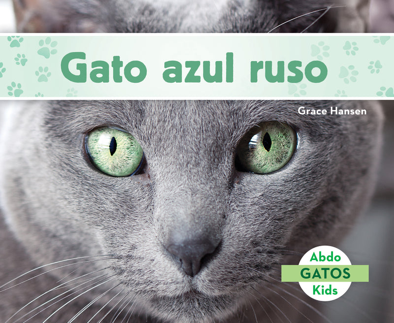 Gato azul ruso (Russian Blue Cats)