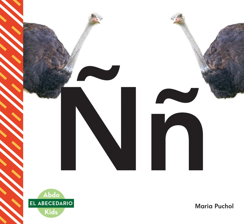 nn