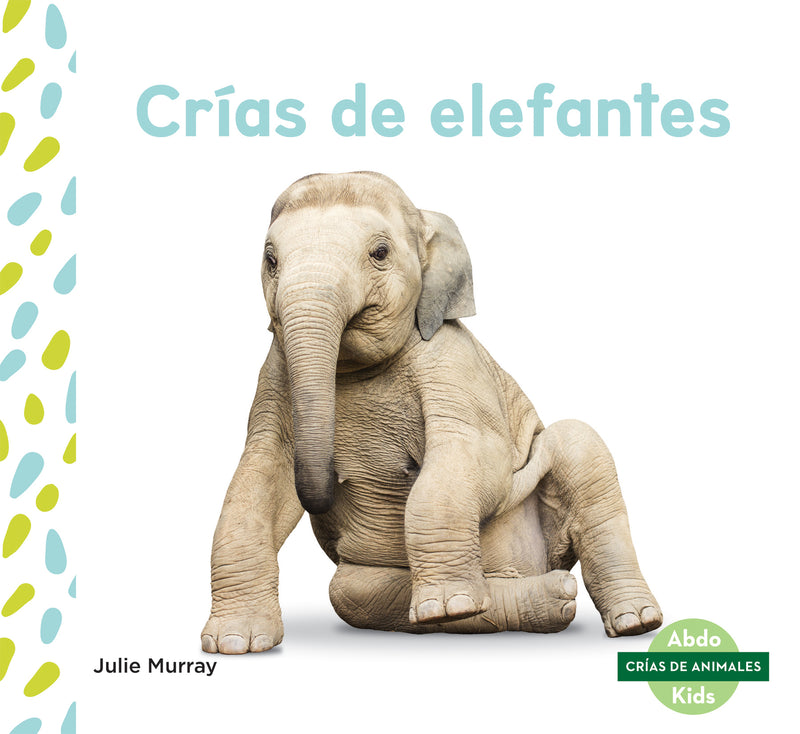 Crias de elefantes (Elephant Calves)