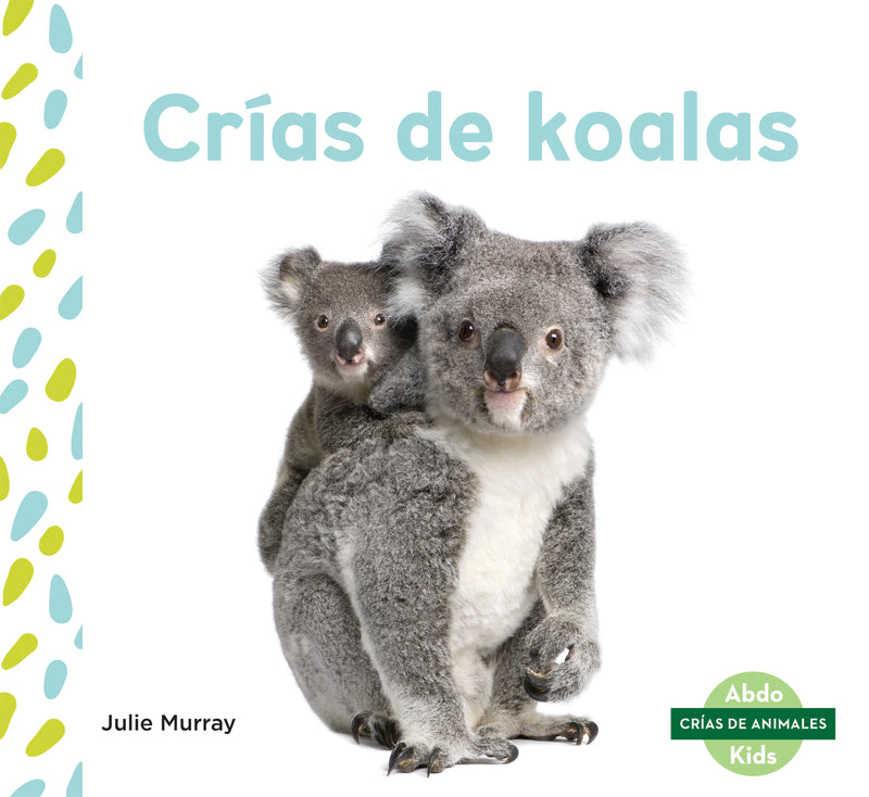 Crias de koalas (Koala Joeys)