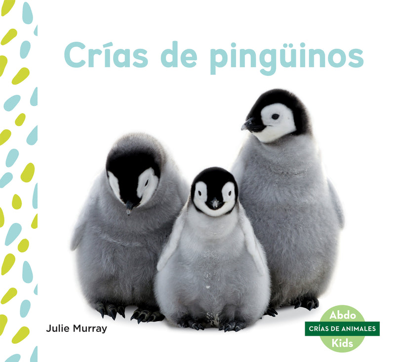 Crias de pinguinos (Penguin Chicks)