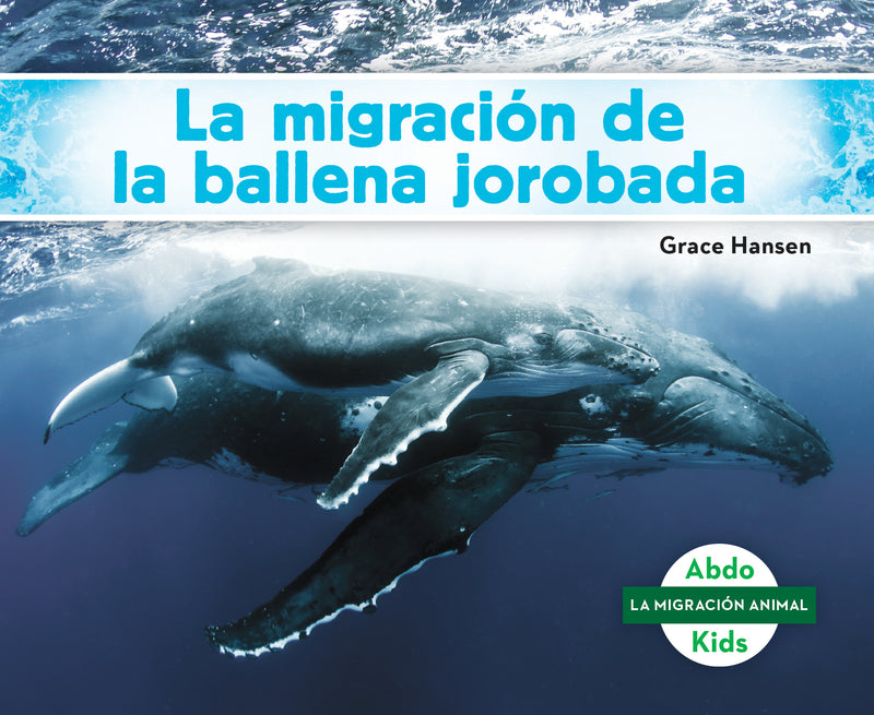 La migracion de la ballena jorobada (Humpback Whale Migration)