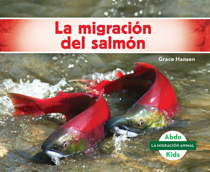 La migracion del salmOn (Salmon Migration)