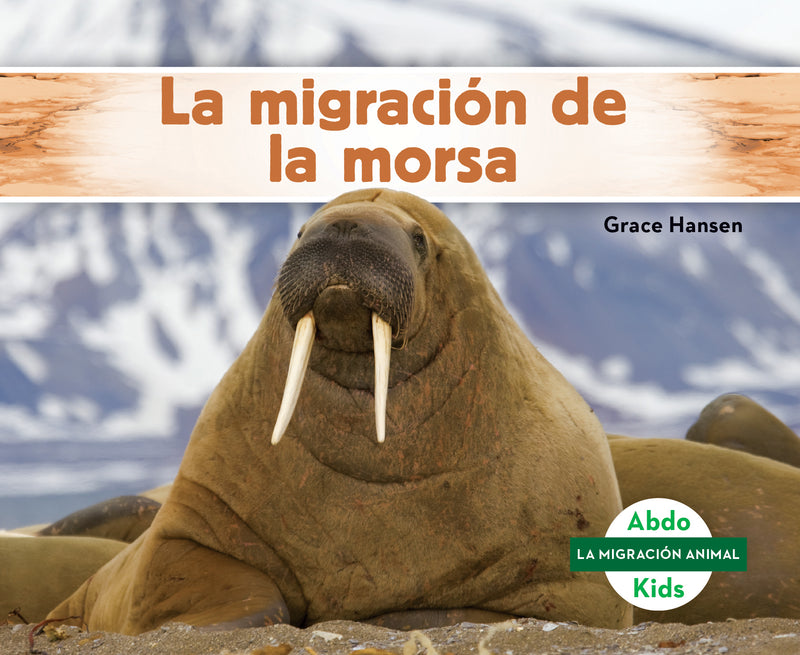 La migracion de la morsa (Walrus Migration)