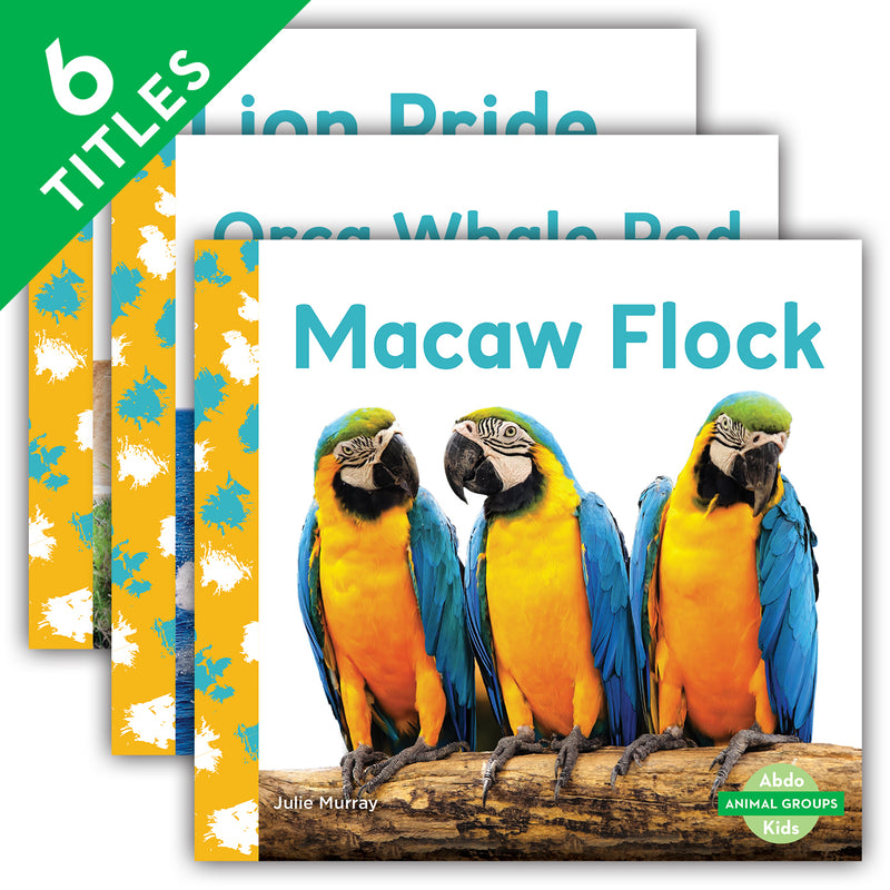 Animal Groups (Set)
