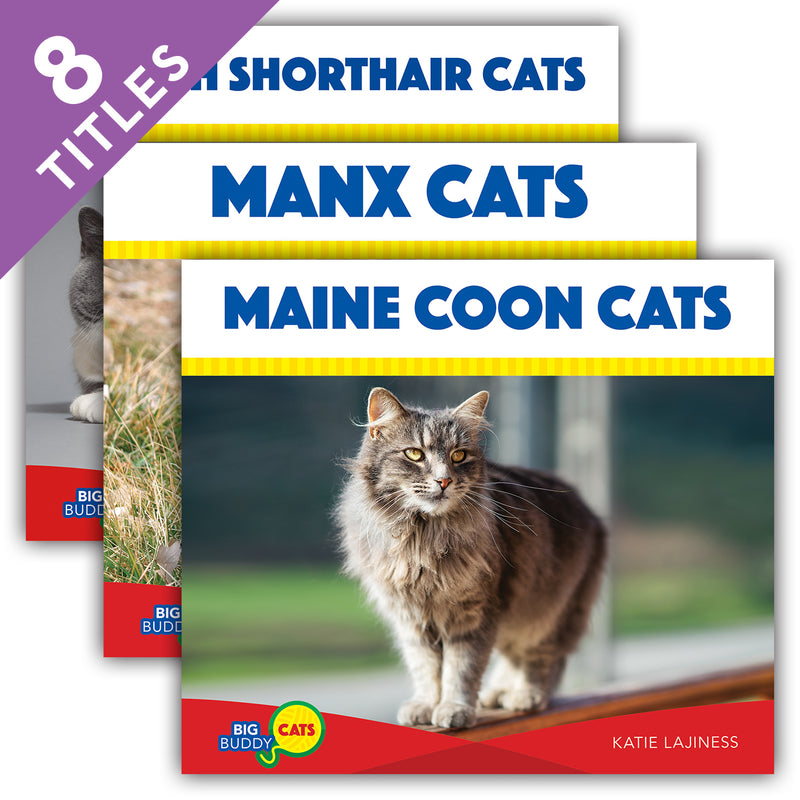 Big Buddy Cats (Set)