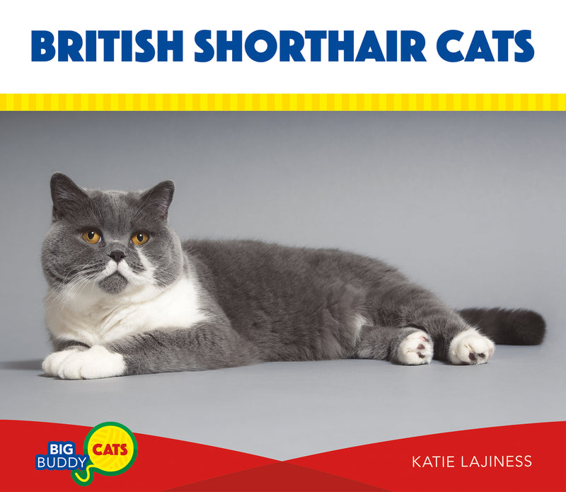 British Shorthair Cats