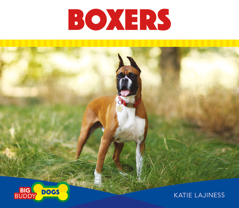 Boxers