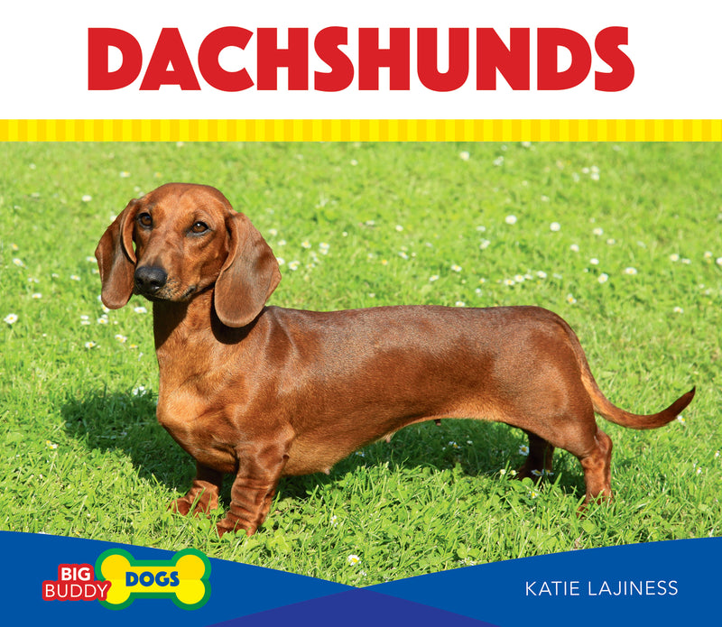Dachshunds