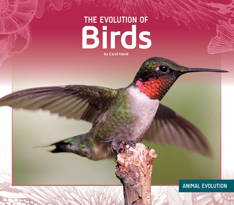 Evolution of Birds