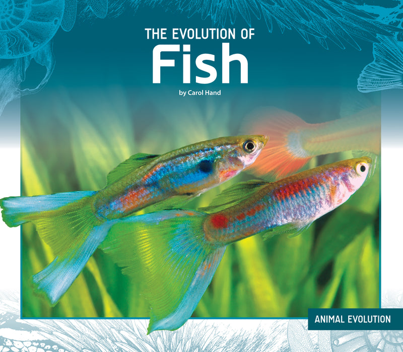 Evolution of Fish