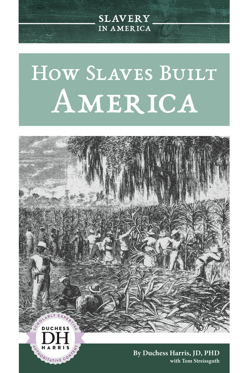 How Slaves Built America