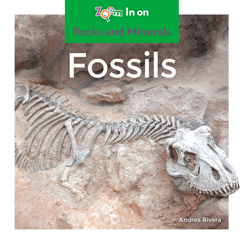 Fossils