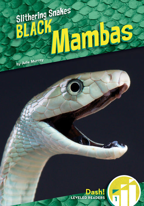 Black Mambas