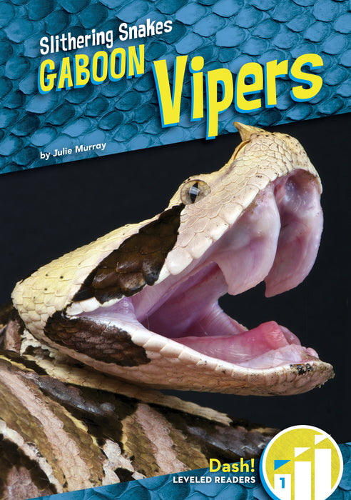 Gaboon Vipers