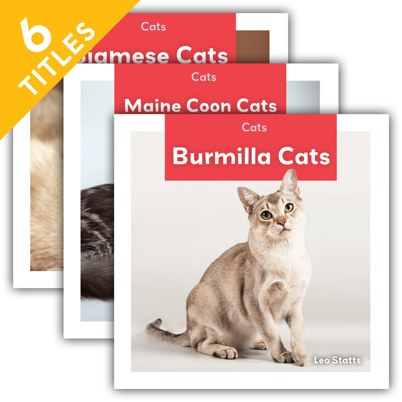 Cats (Set)