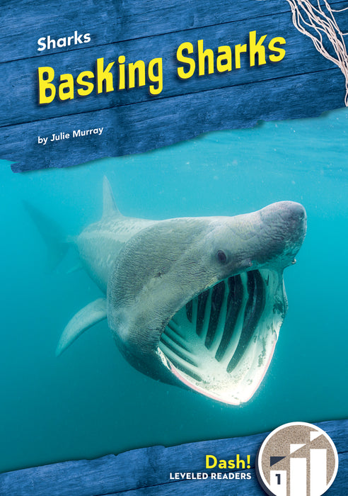 Basking Sharks