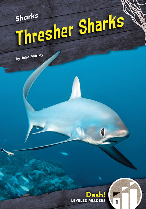 Thresher Sharks