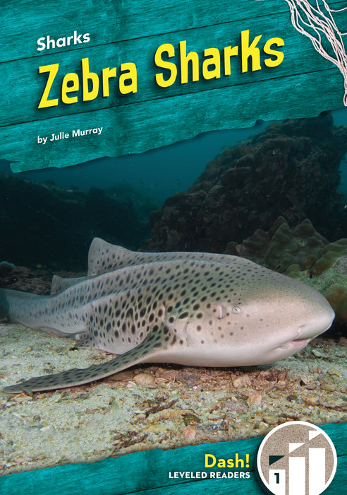 Zebra Sharks