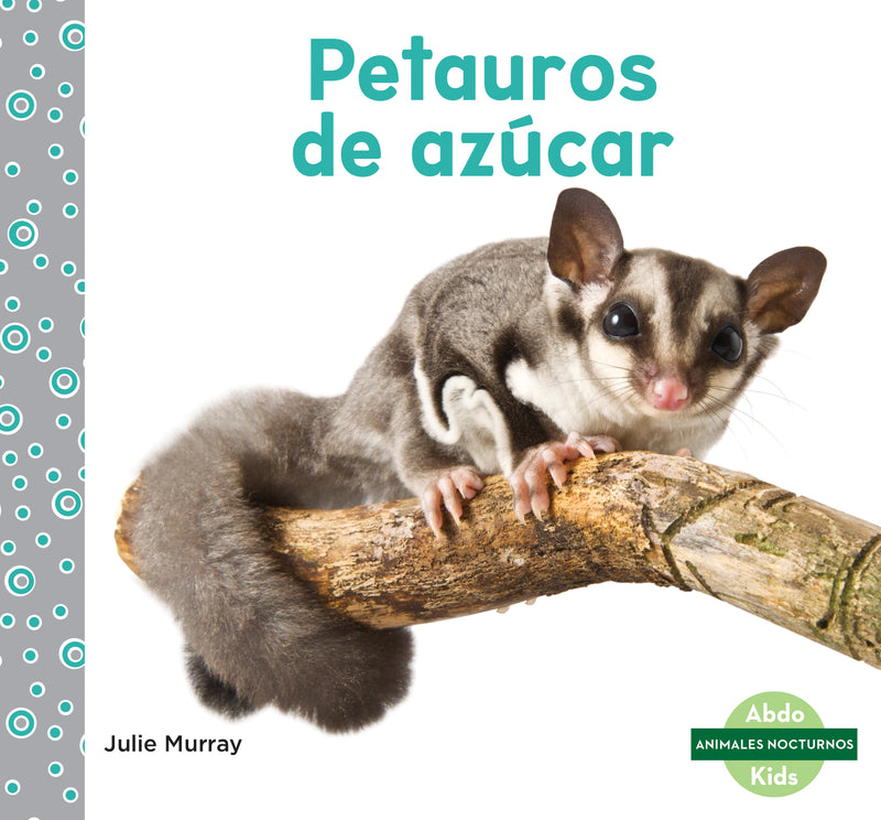 Petauros de azucar (Sugar Gliders)