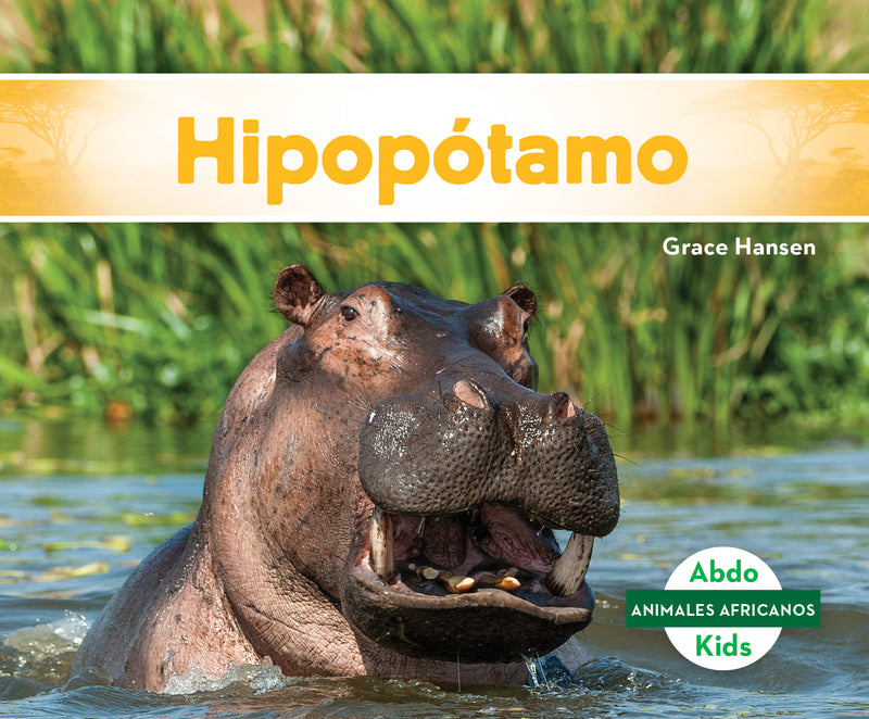 Hipopotamo (Hippopotamus)