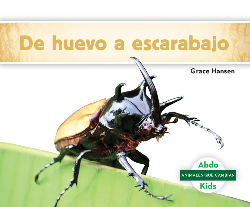 De huevo a escarabajo (Becoming a Beetle)