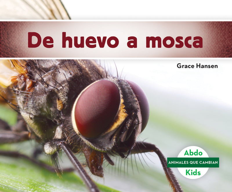 De huevo a mosca (Becoming a Fly)