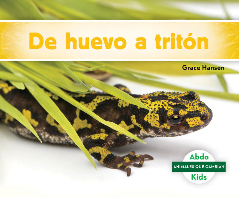 De huevo a triton (Becoming a Newt)