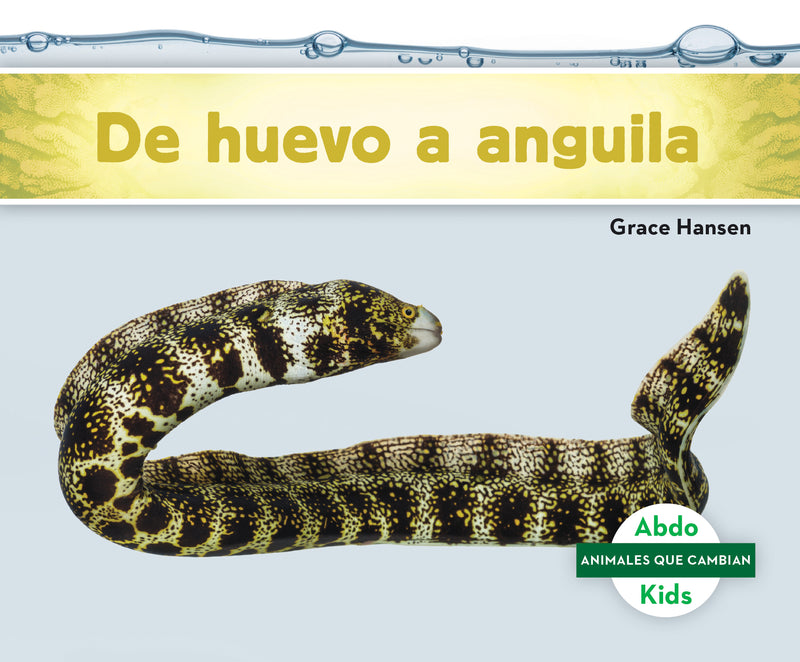 De huevo a anguila (Becoming an Eel)