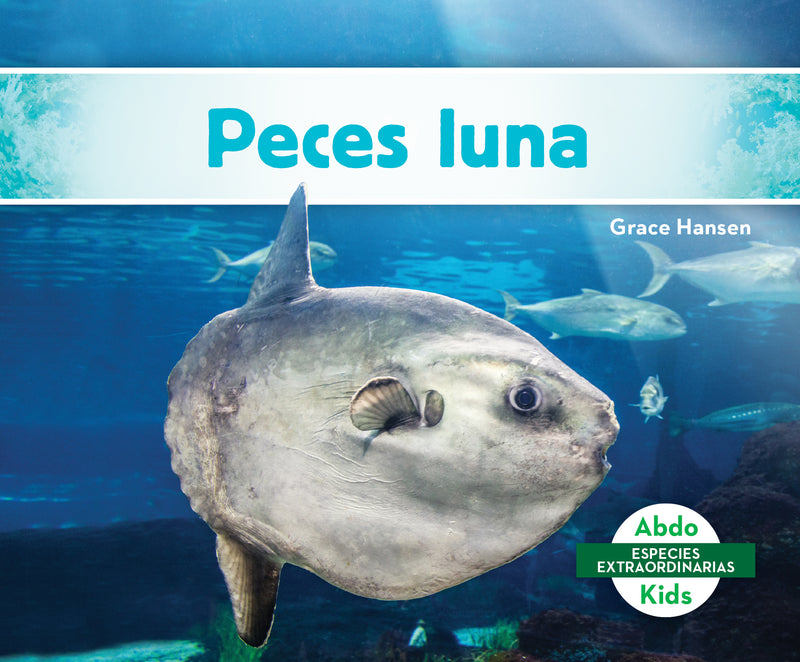 Peces luna (Mola Ocean Sunfish)