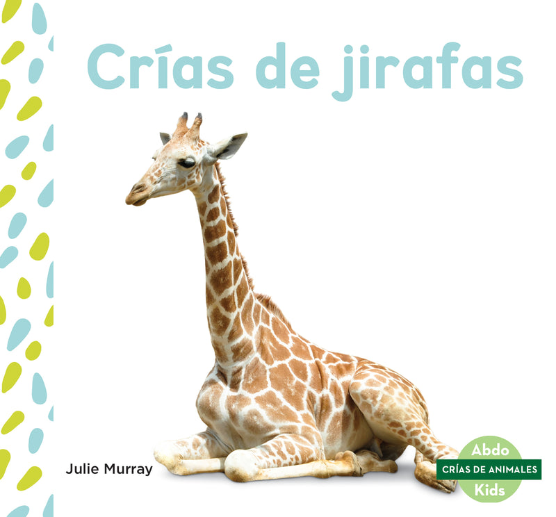 Crias de jirafas (Giraffe Calves)