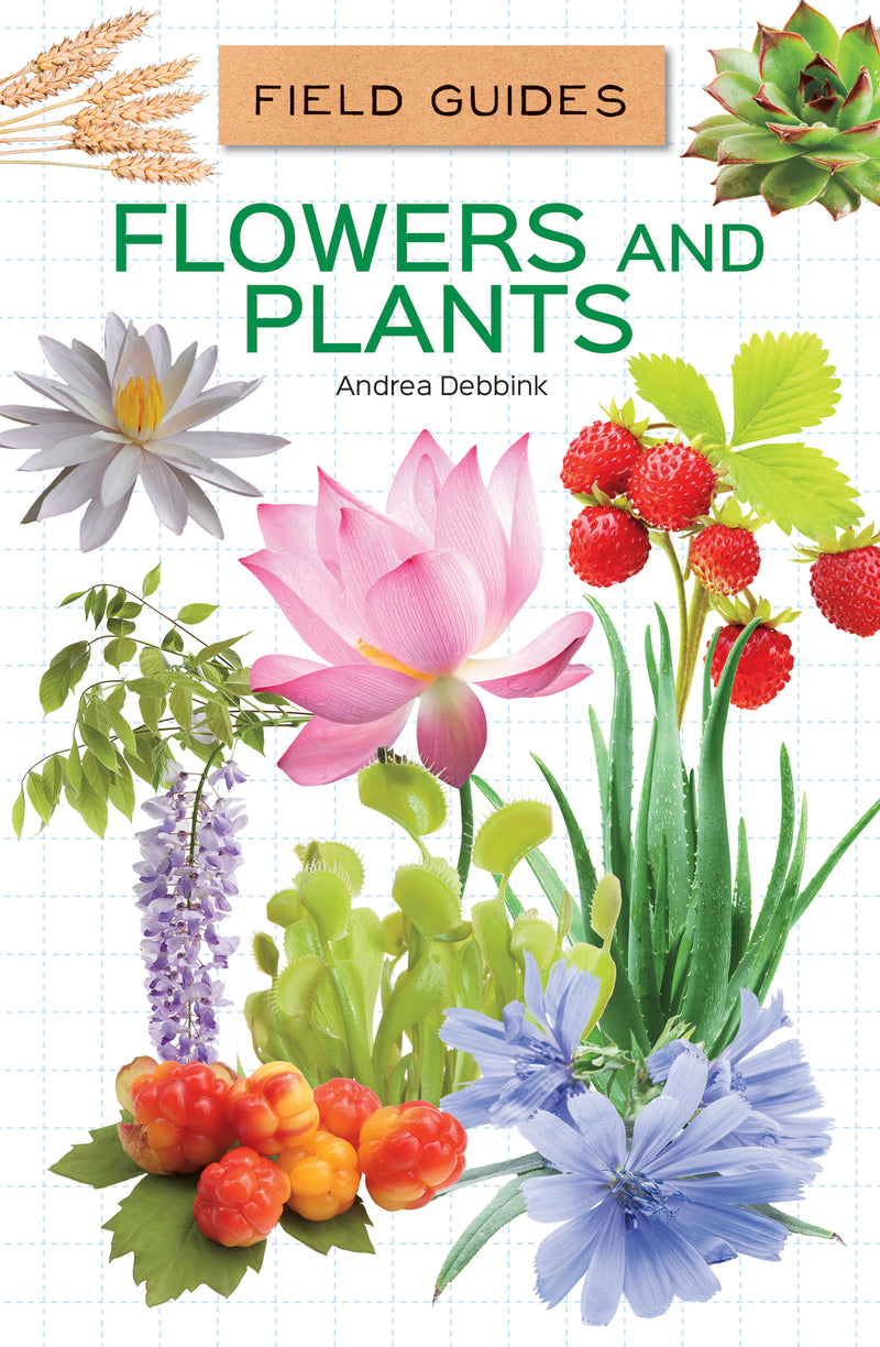 Flowers and Plants