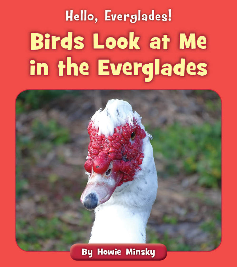 Birds Look at Me in the Everglades