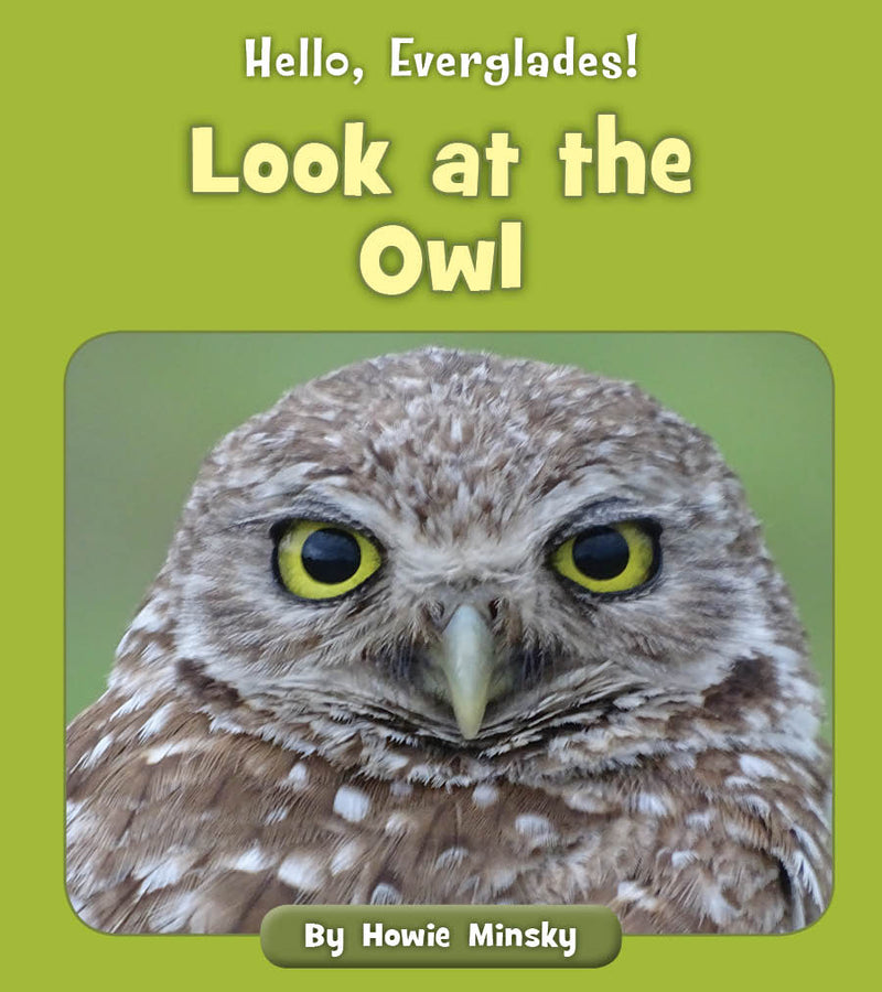 Look at the Owl