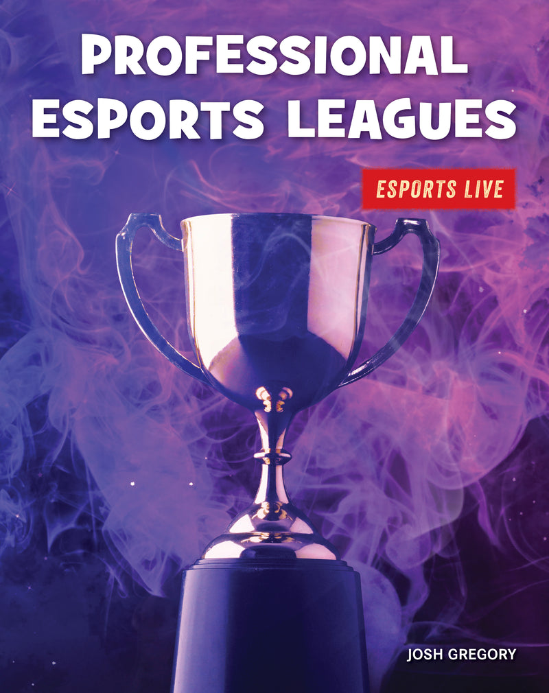 Professional Esports Leagues
