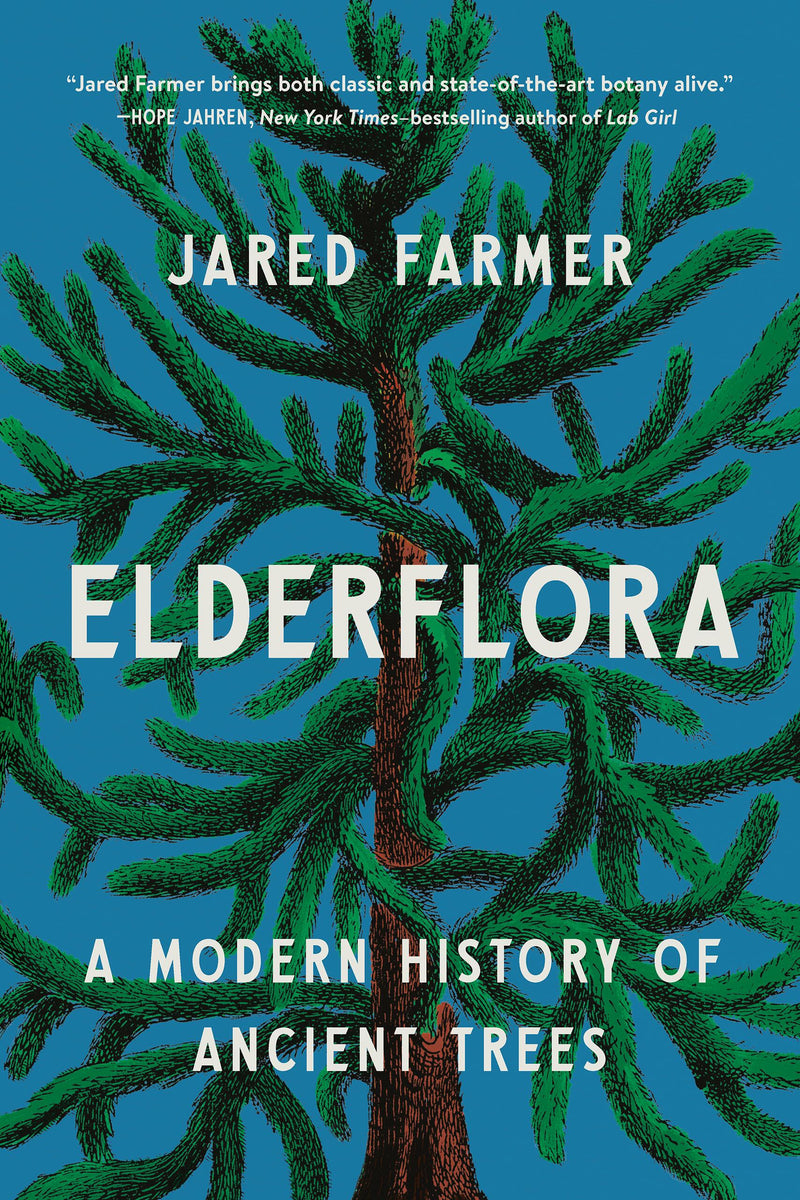 Elderflora