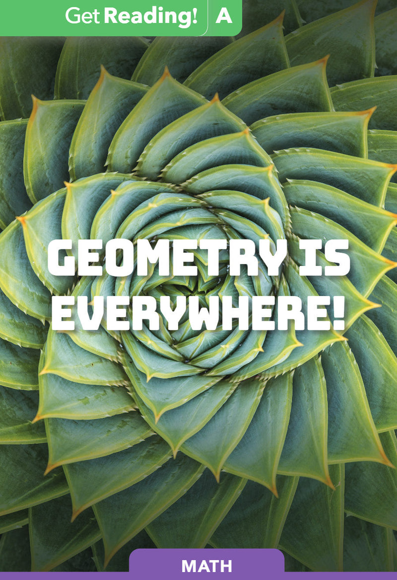 Geometry Is Everywhere!